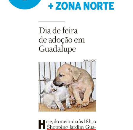 2019_Novembro_09_O Globo - RJ_Tijuca + Zona Norte_17